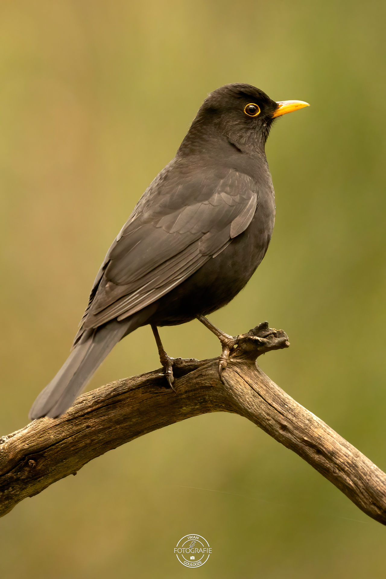 23 oktober 2022 124600 1R2A0374 bewerkt